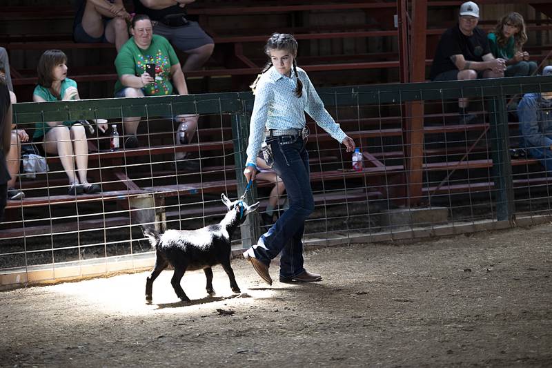 Mairin Meyers, 13, of Chana leads her goat through the judging Thursday, July 25, 2024 at the Lee County 4H Fair. The fair might go down as the GOAT as there were a record number of goat submissions this year.