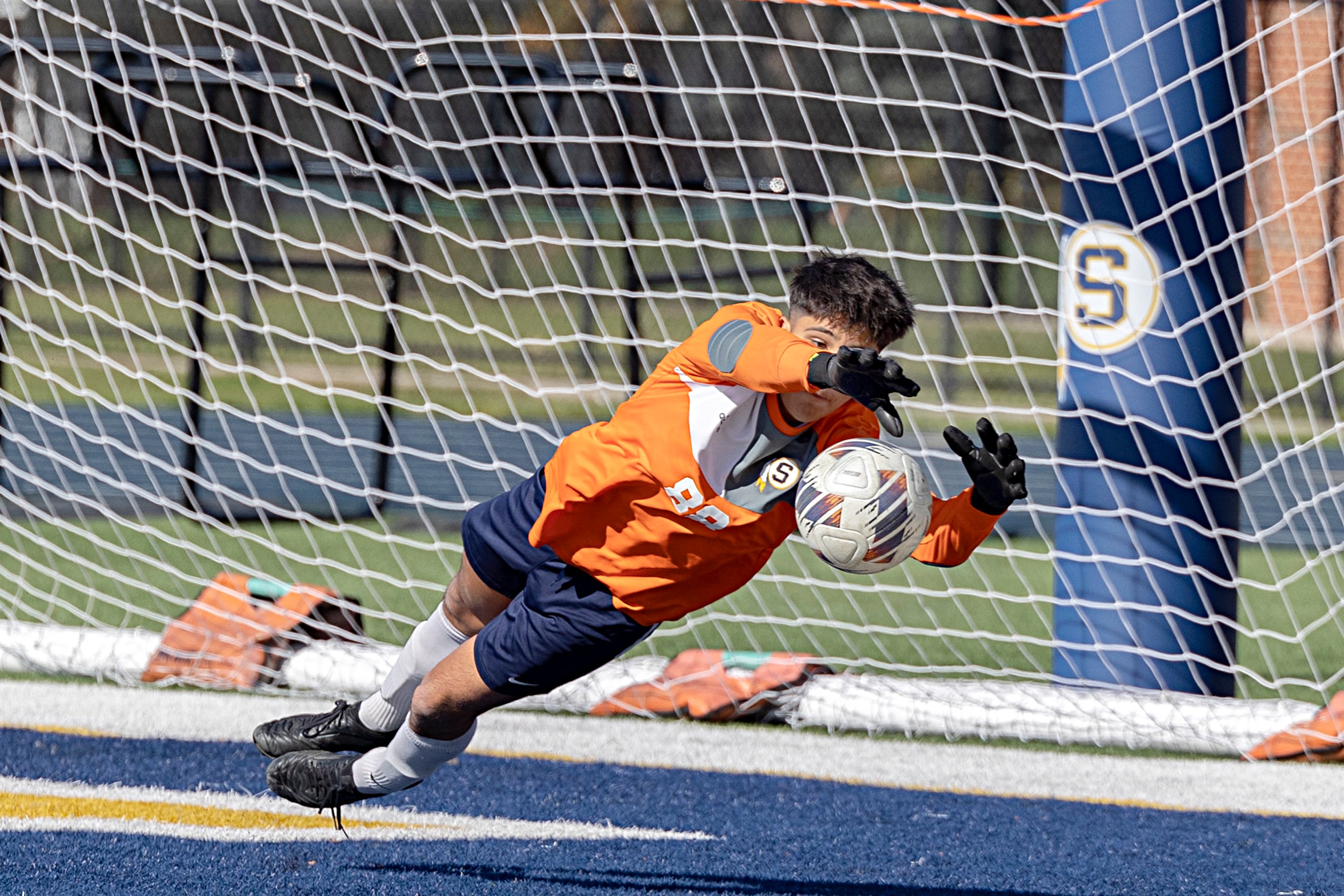 SVM area roundup for Saturday, Oct. 21: Sterling boys XC team, Dale Johnson win regional titles