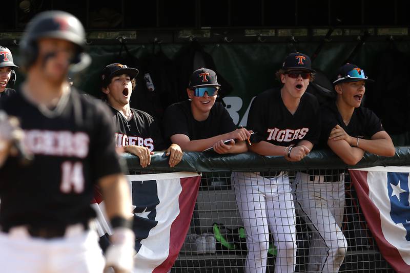 Crystal Lake Central players cheer during a Class 3A Grayslake Central sectional championship baseball game against Deerfield on Friday, May 31, 2024, at the Grayslake Central High School.