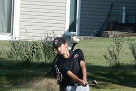 Fulton, Van Zuiden in first place at state golf after Day 1