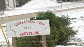Here’s how to recycle holiday lights, trees in McHenry County