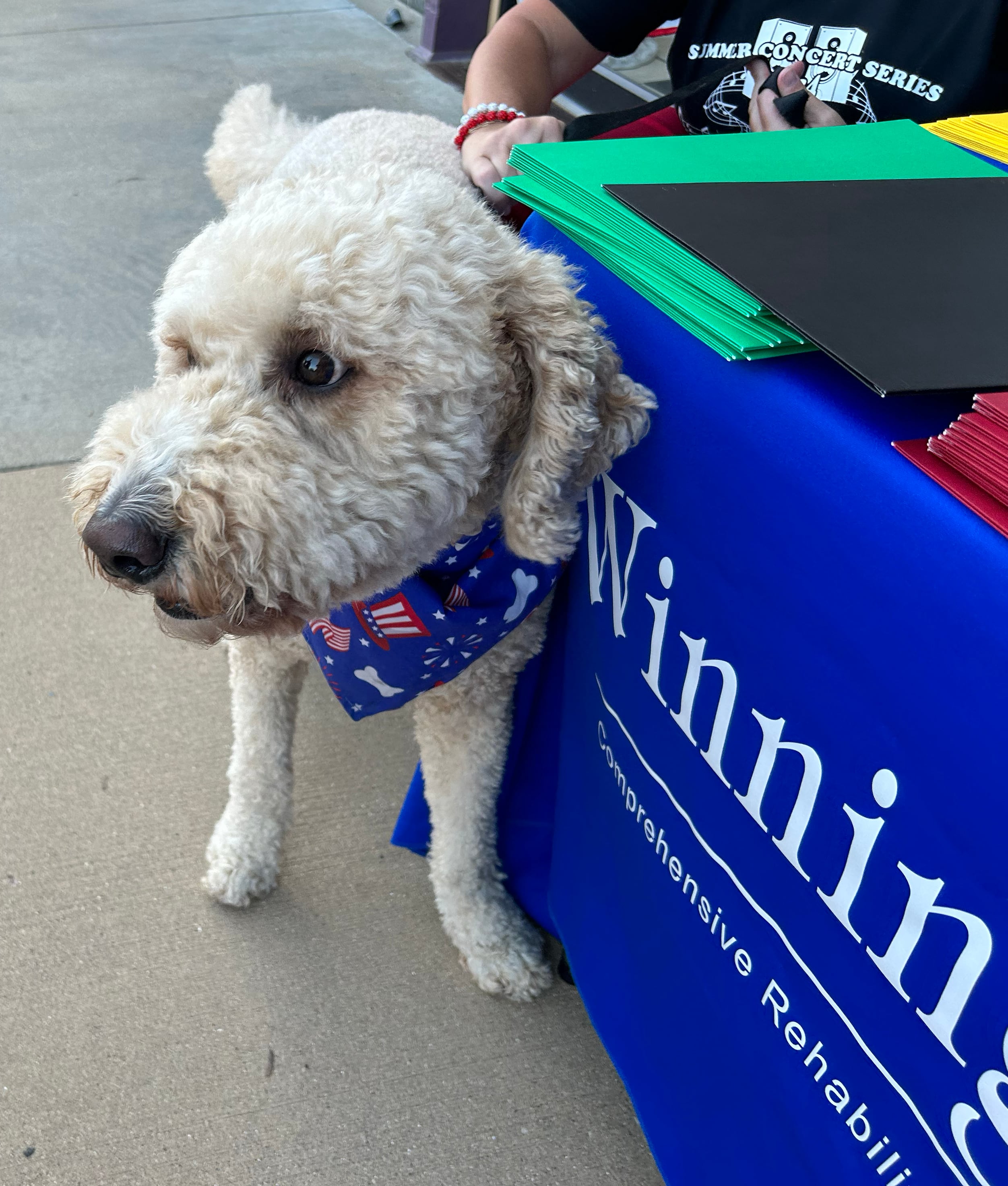 Murphy, Winning Wheels' goldendoodle, greeted visitors to the Winning Wheels booth during Prophetstown's Fourth Friday on Friday, July 26, 2024.