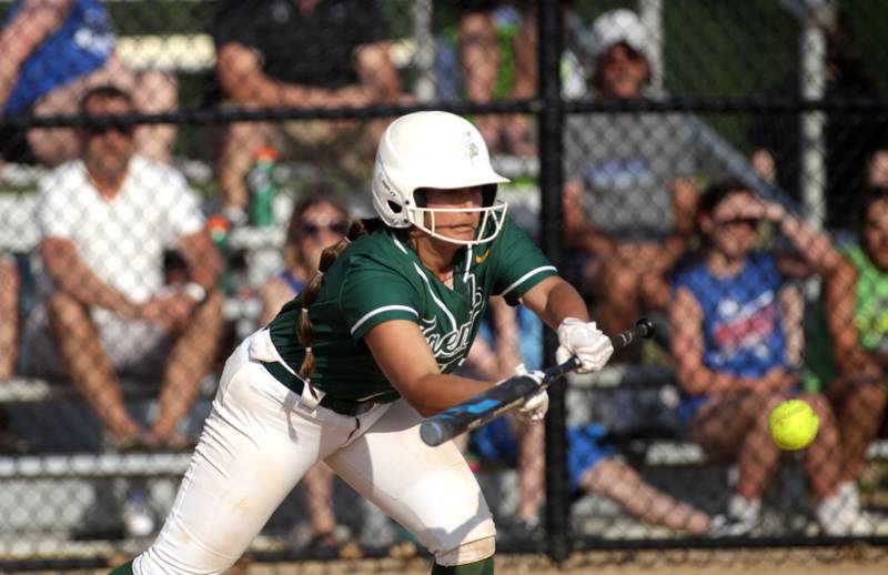 Fremd’s Sydney Sheedy bunts during a Class 4A St. Charles North Sectional semifinal against St. Charles North on Tuesday, May 30, 2023.