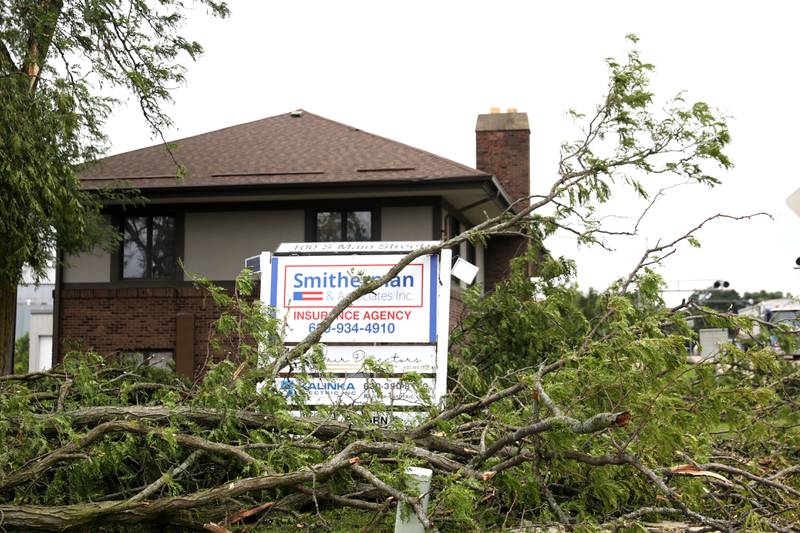 Several trees throughout Elburn were damaged after a storm the evening of Monday, July 15, 2024.