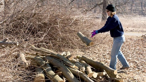 Habitat restoration workday at Bliss Woods Forest Preserve Jan. 27