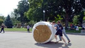 Organizers: StrawFest Day successful end to straw-sculpting competition