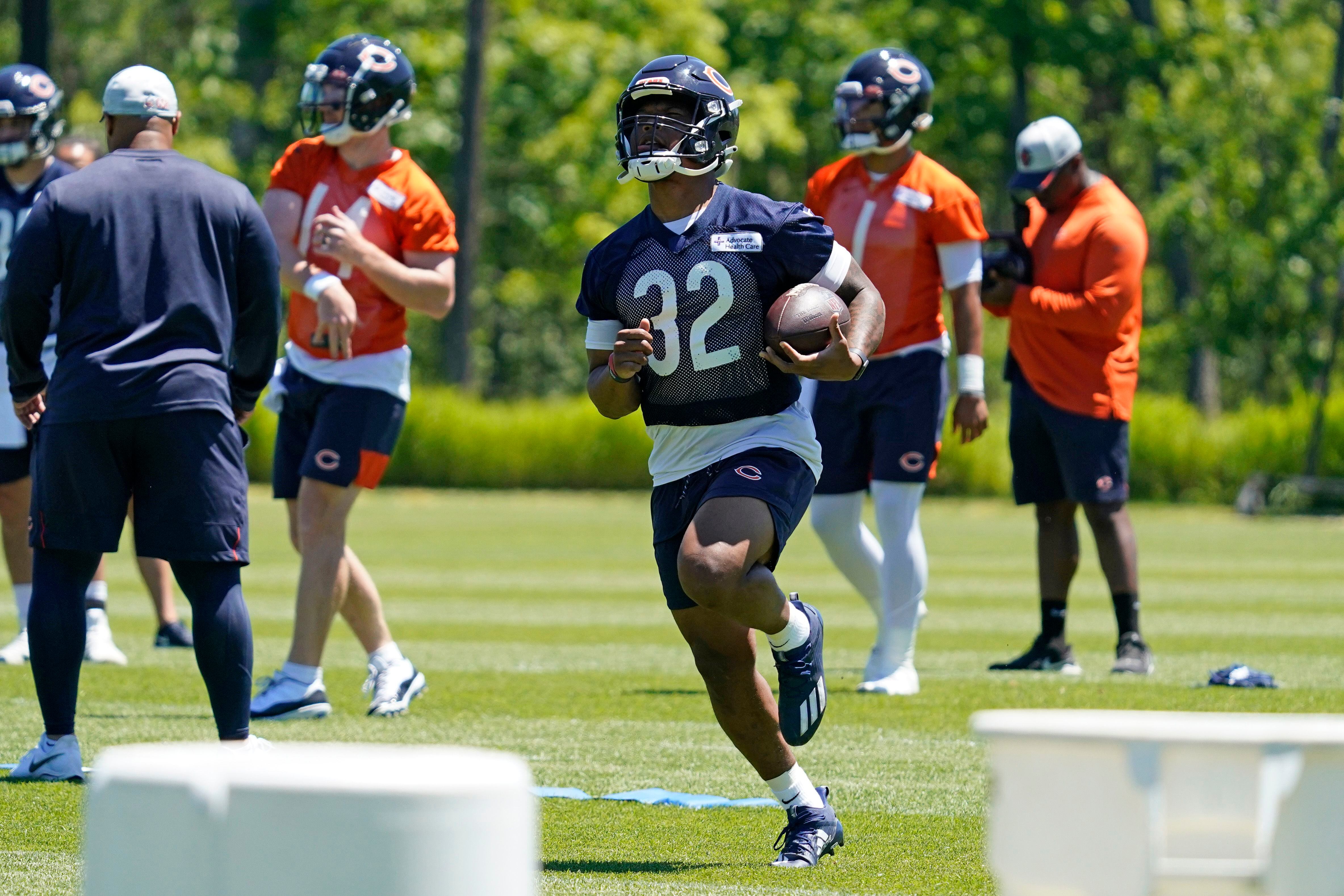 LAKE FOREST, IL - JULY 30: Chicago Bears running back David