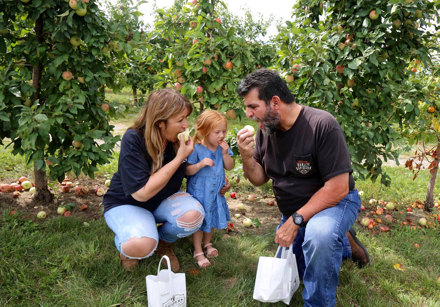 Debbie, Brooklyn and Mark Moss of Schaumburg eat apples they just picked at Kuipers Family Farm in Maple Park on Saturday, Aug. 26, 2023