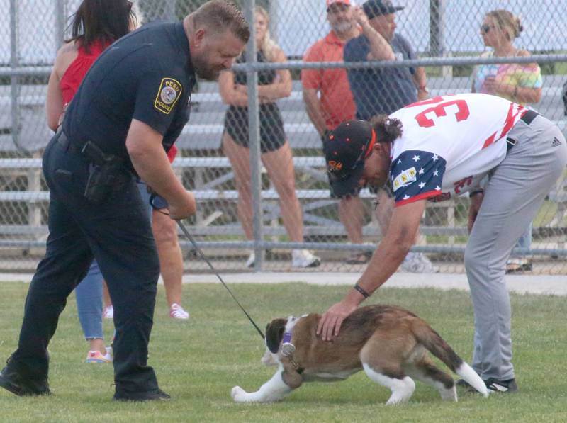 Peru Police officer Brian Zebron and Illinois Valley Pistol Shrimp player Luke Smock pet  Haven,  the Peru Police Department's newest recruit  during first responder night on Tuesday, June 11, 2024 at Schweickert Stadium in Peru. 
Haven, a three-month old St. Bernard puppy will become a comfort dog for the City of Peru after training.