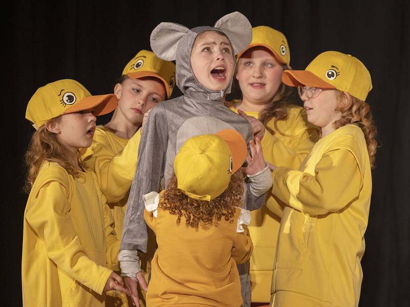 Starlyn Eberman, playing the part of Templeton the rat, rehearses a scene Tuesday, Feb. 20, 2024 with gosling characters in PACT’s rendition of Charlotte’s Web.