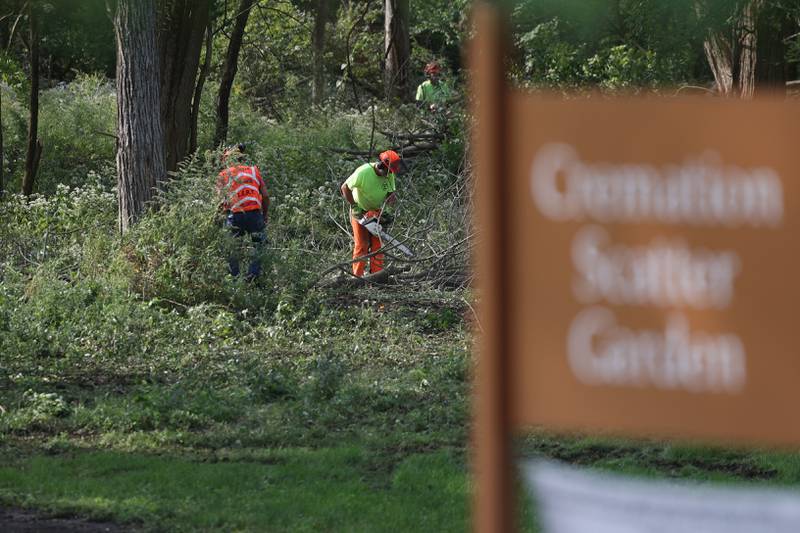 Volunteers from D.Ryan Tree & Landscape work on clearing brush at the Abraham Lincoln National Cemetery on Wednesday, Sept. 20, in Elwood.