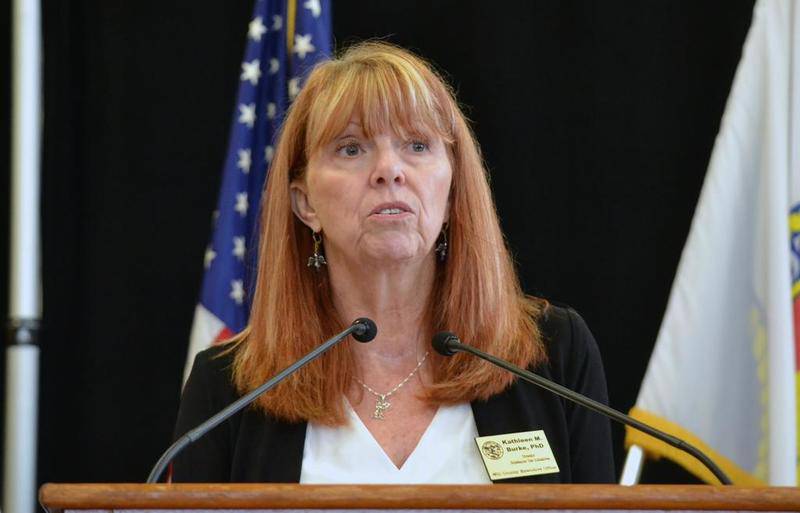 Kathleen Burke, director of the Will County executive office of substance use initiatives, speaks Friday to attendees at the HERO and HELPS Summit in Romeoville.