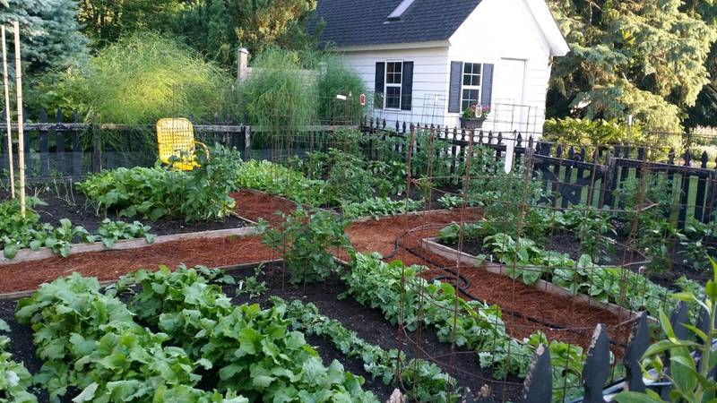 Join University of Illinois Extension Master Gardeners for a day of education and fun during McHenry County College’s annual Garden Walk.