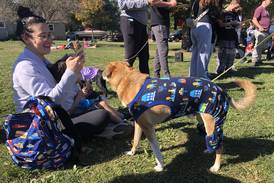 Dogs show off their Halloween costumes at Richmond-area pet sanctuary