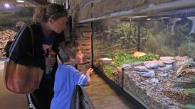 Crystal Lake Nature Center reopens with new, interactive exhibits after months-long closure