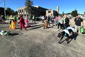 Photos: Dogs and one goat "dash" to help animal shelter