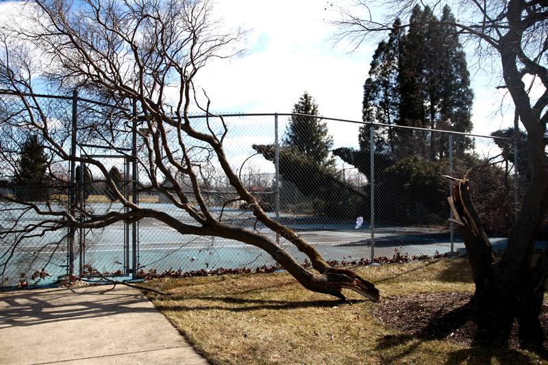 Trees, signs and fences were damaged on the Waubonsee Community College campus in Sugar Grove on Wednesday, Feb. 28, 2024 following a reported tornado the night before.
