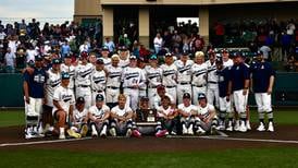 Baseball: Youth is served as Lemont earns Class 3A state tournament berth