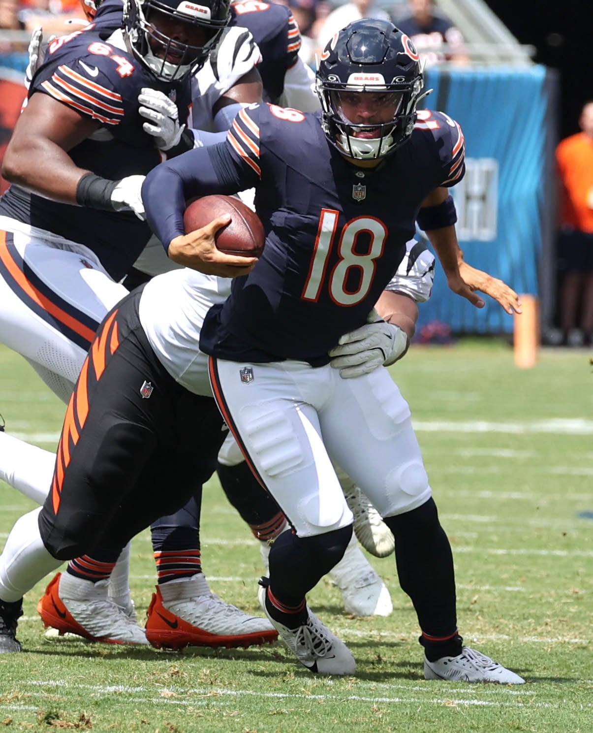 Chicago Bears quarterback Caleb Williams is sacked by Cincinnati Bengals defensive tackle Kris Jenkins Jr. during their game Saturday, Aug. 17, 2024, at Soldier Field in Chicago.