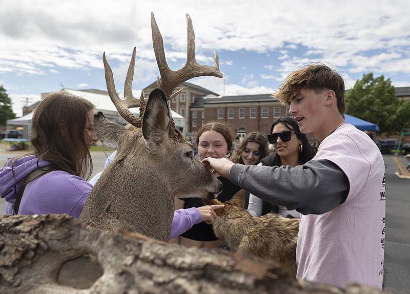 FFA member Dylan Ottens educates visitors on taxidermy Thursday, May 9, 2024 at Sterling High School’s Farmapalooza. The group had many animals on display including deer, coyote, pheasant and fox.