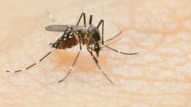 Westmont to conduct mosquito abatement June 28