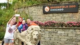 Photos: Brookfield Zoo hosts Zoo Run fundraiser