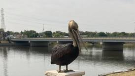 Dixon statue repaired, reinstalled following vandalism