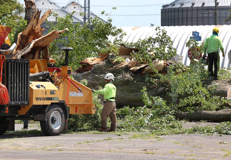 Workers from D. Ryan Tree and Landscape clear a large tree that was blown down in Sunday night’s storms Monday, July 15, 2024, on West Page Street in Sycamore. High Winds and heavy storms hit DeKalb County overnight causing downed trees and power outages in the area.