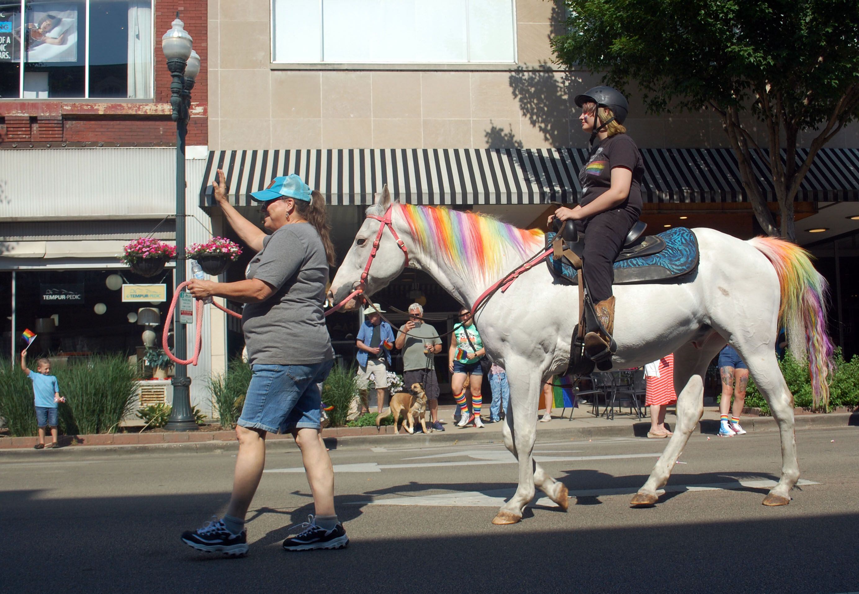 People weren't the only ones sporting rainbow colors at Ottawa Family Pride Festival on Saturday, June 10, 2023. This horse walks down La Salle Street with a rainbow-hued mane and tail during the John Fisher Dann Memorial Pride Parade.