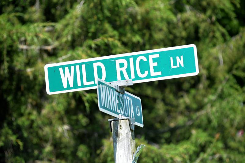 Police officers from several departments assisted the Ogle County Sheriff's Office on Wednesday, June 12, 2024, during a shooting on Wild Rice Lane in Lost Lake, a private subdivision located east of Dixon on Flagg Road.