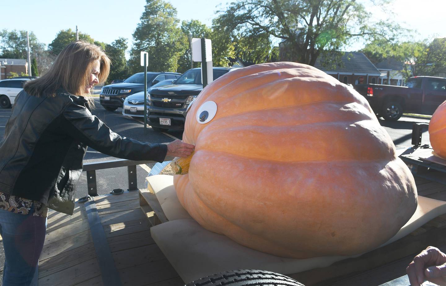 Theresa Miller checks on Twaddle D2, one of three giant pumpkins she raised this year after it was delivered to downtown Oregon for display at Oregon's Autumn on Parade festival this weekend.