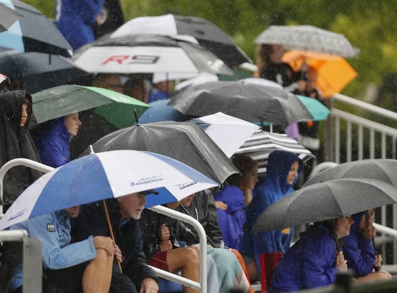 Fan umbrellas come out during the Class 3A Dominican super-sectional between New Trier and Lyons Township in River Forest on Tuesday, May 28, 2024.