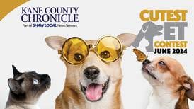 June 2024 Kane County's Cutest Pet Contest