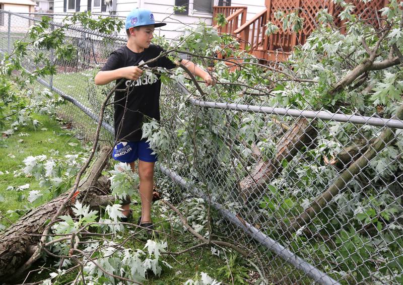 Blake Richter, 10, helps pull parts of a large branch off of a fence in his back yard on Central Avenue in Genoa Tuesday, July 16, 2024, after it fell during the sever thunderstorm Monday night. The storm caused localized damage and flooding throughout DeKalb County.