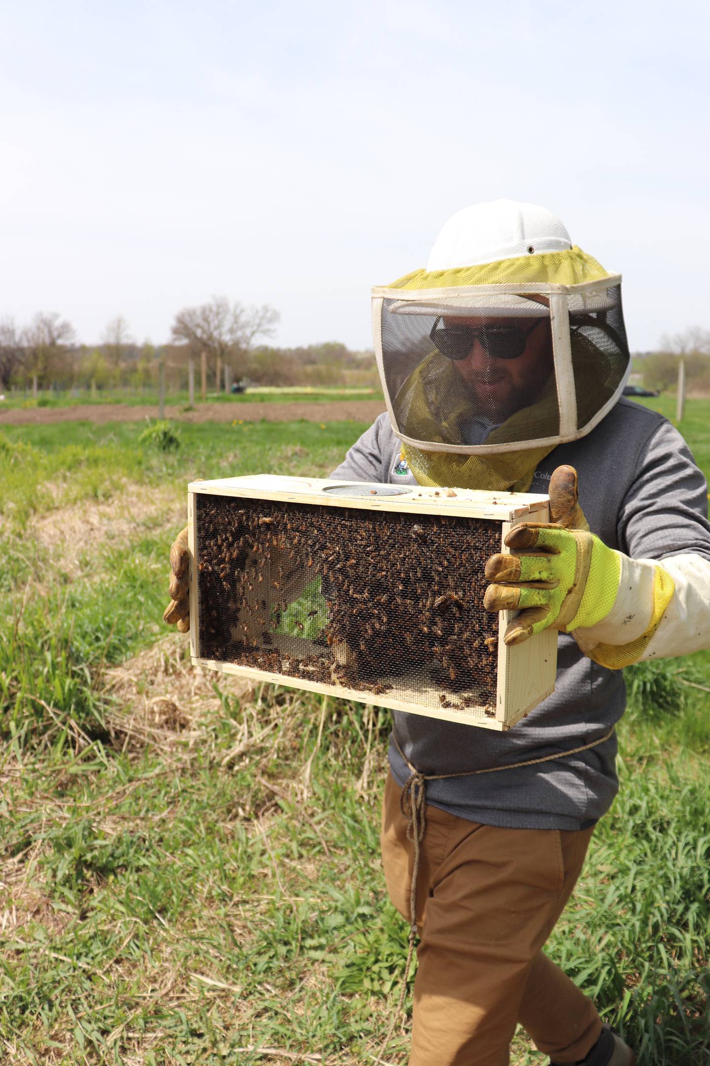 Dagley welcomes the Carniolan Honey Bees to their new enclosed home adjacent to the Community Gardens at Prairie Green, where they will begin their work as pollinators.