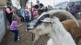 Animal farm: Chadwick family opens its barn doors wide