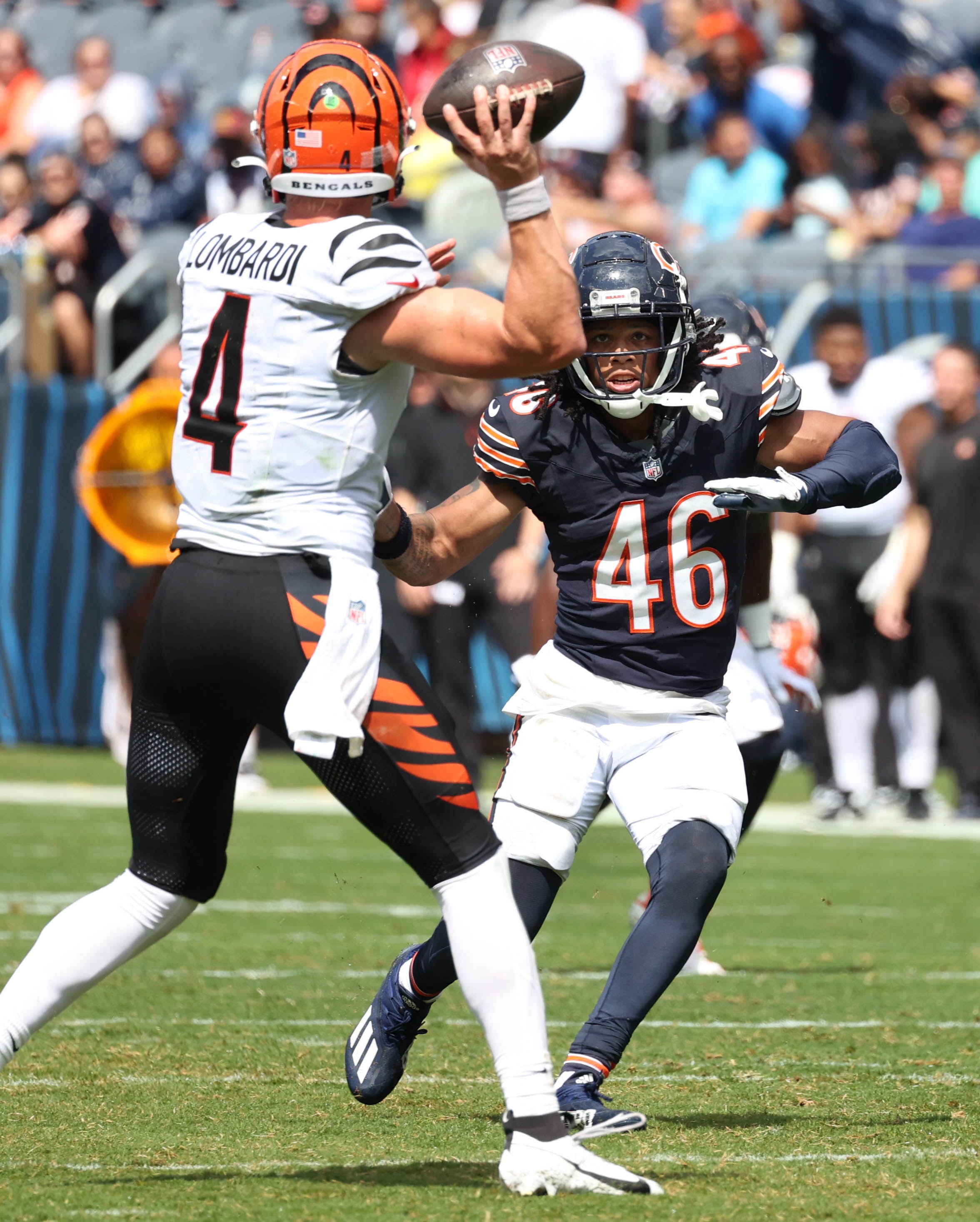 Chicago Bears cornerback Reddy Steward pressures Cincinnati Bengals quarterback Rocky Lombardi during their game Saturday, Aug. 17, 2024, at Soldier Field in Chicago.