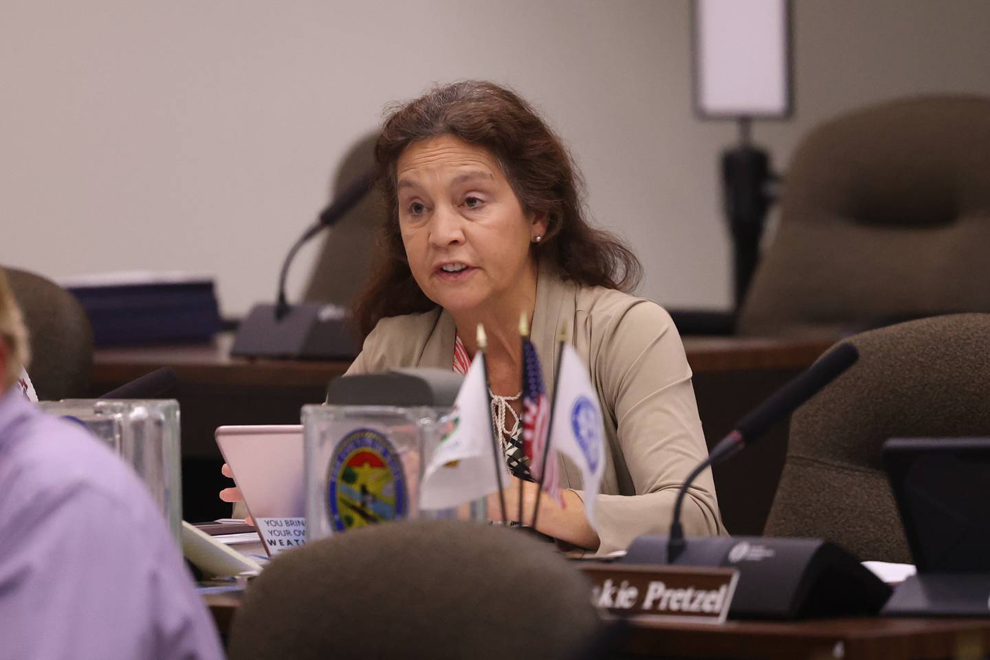 Will County board member Julie Berkowicz speaks at the Will County board meeting on Thursday, Aug. 17, 2023 in Joliet.