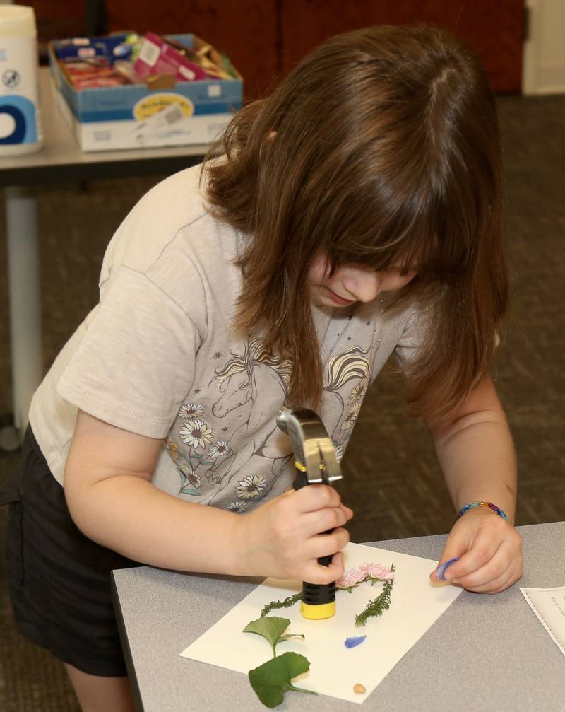 Riley Dismuke, 7, makes a card using flowers and plants at the Town and Country Library on Friday, June 21, 2024 in Elburn.