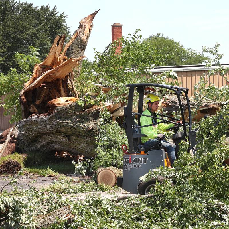 A Worker from D. Ryan Tree and Landscape removes branches from a large tree that was blown down in Sunday night’s storms Monday, July 15, 2024, on West Page Street in Sycamore. High Winds and heavy storms hit DeKalb County overnight causing downed trees and power outages in the area.