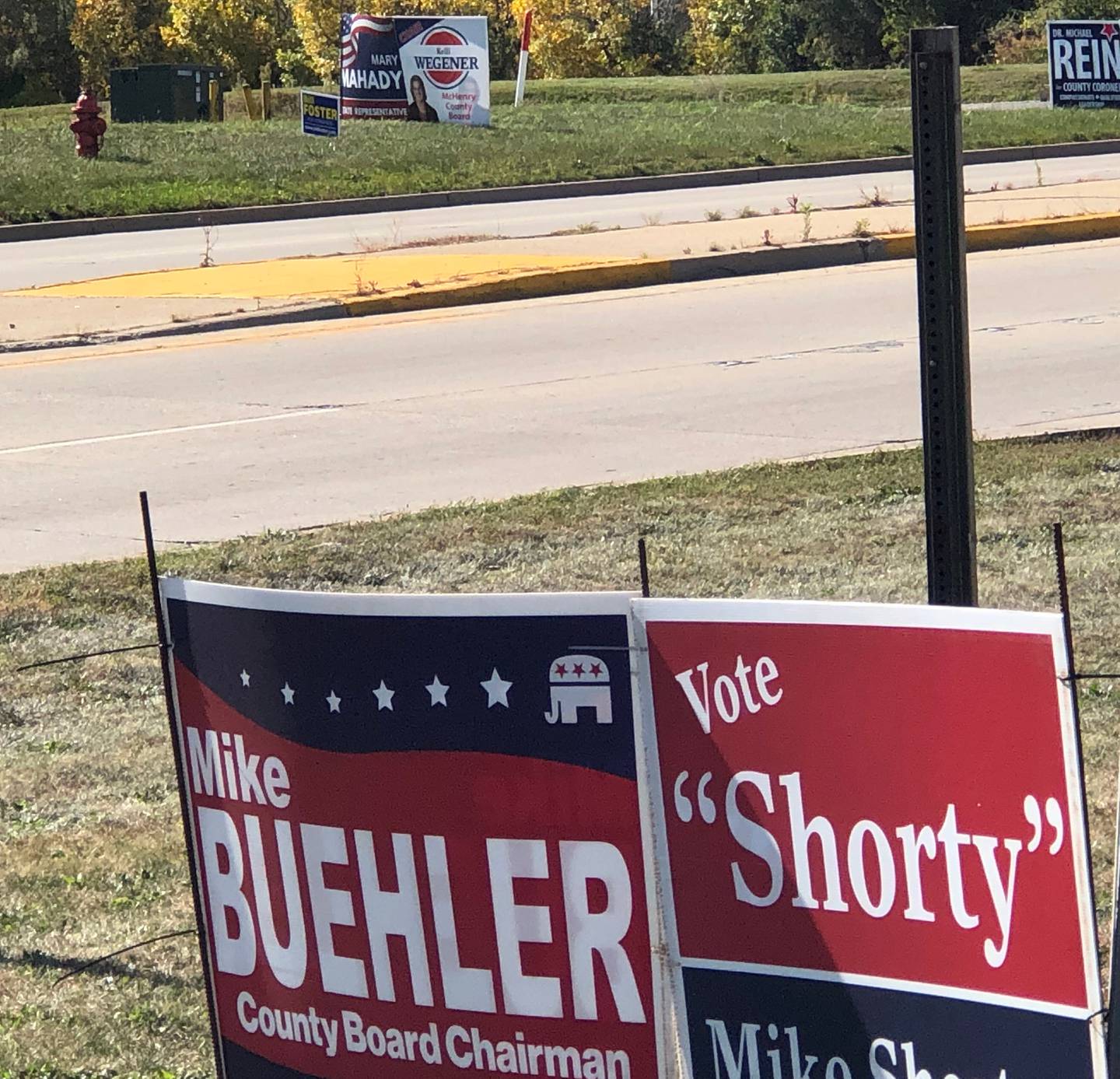 Campaign signs for Republican County Board Chairman Mike Buehler, foreground, and Democratic challenger Kelli Wegener, background, compete for attention on Oct. 17, 2024, along Route 14 in Crystal Lake.