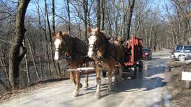 WinterFest to return Jan. 20 to Genoa forest preserve