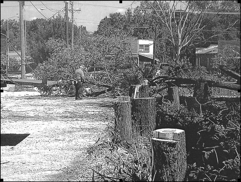 1999: City of Yorkville workers cut downs some of the trees along a creek in the east alley. The creek was tiled and covered, making way for a parking lot.