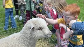 Photos: Polo FFA Petting Zoo