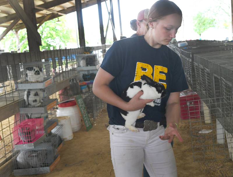 Ali Danekas, 16, of Polo carries one of her show rabbits from its pen at the Ogle County 4-H Fair on Sunday. Danekas, a member of the Pine Creek Valley 4-H Club, won a Best of Show during the judging competition.