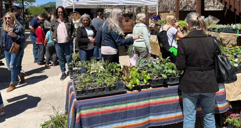 DeKalb's bi-annual Back Alley Market