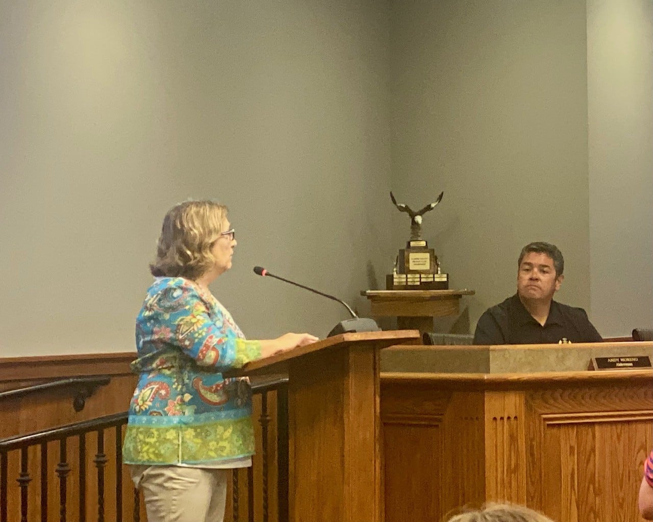 Carol Alcorn, the Executive Director of IVPHS, speaks during Peru's council meeting on Monday.