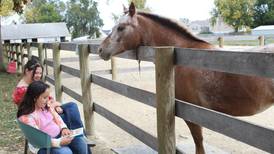 Woodstock horse rescue saves 59 neglected ponies, helps foster many more and – yes – reads to them