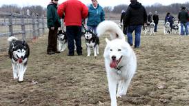 Plainfield parks, library hosting pet expo this weekend