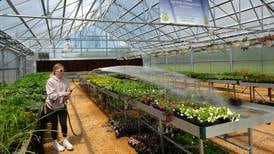 Plants ready for purchase at the Polo FFA's new greenhouse